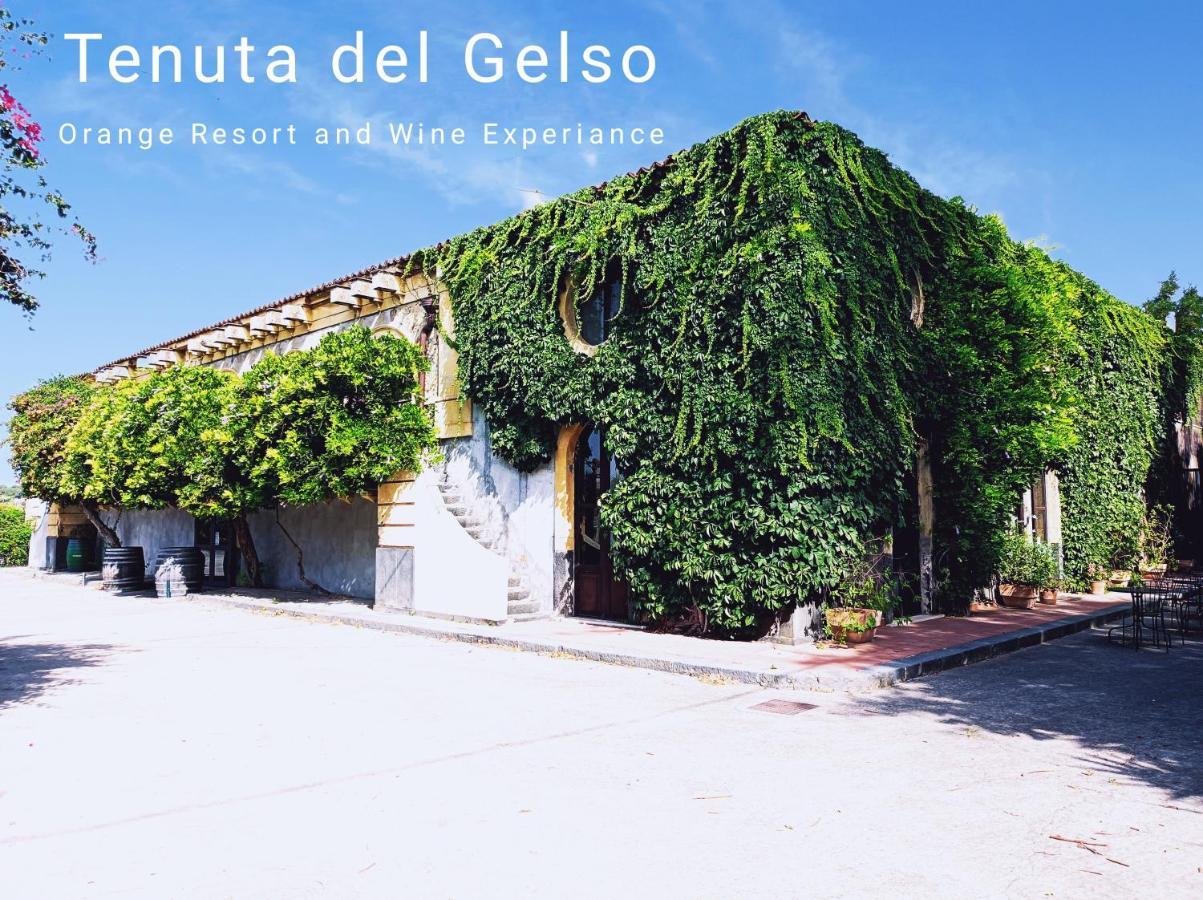 Tenuta Del Gelso كاتانيا المظهر الخارجي الصورة